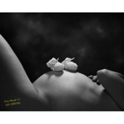 Gallery Image Number 1