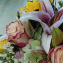 Bellevue Florists - Florists