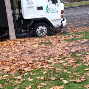 Alexa's Tree Service LLC - Vancouver, WA