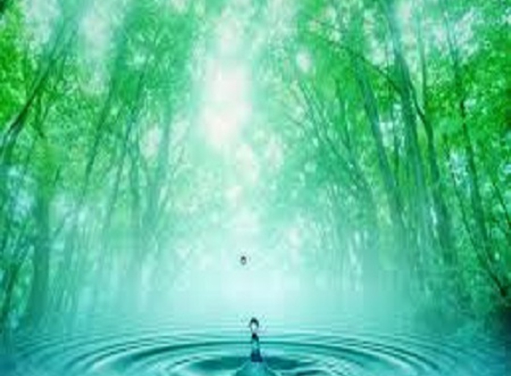 Tranquil Natural Spring Water - Revesby, NSW