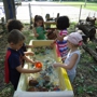 Discovery Montessori School