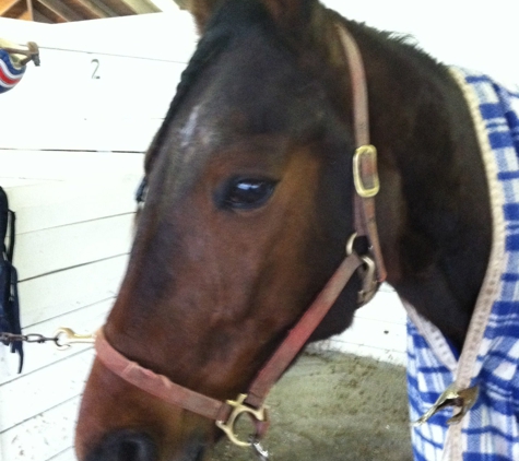 Vernon Downs - Vernon, NY