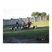 Gallery Image Number 8