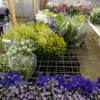 Washington Wholesale Florist Supply gallery