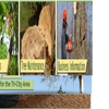 Buddy's Tree Service gallery