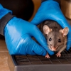 Advanced Pest Solutions Plus gallery