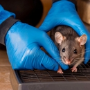 Advanced Pest Solutions Plus - Pest Control Equipment & Supplies