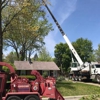 Nest Tree Removal Services gallery