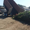 RJP Junk Removal, Yard Waste Removal & Home Services gallery
