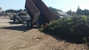 RJP Junk Removal, Yard Waste Removal & Home Services - Junk Dealers