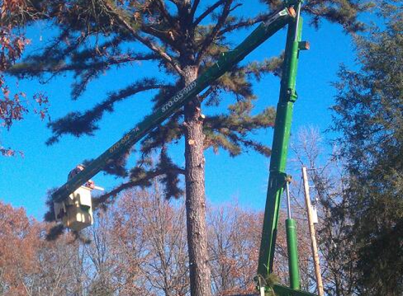 Quality Tree Service - Mountain View, AR