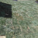 Bush Sod Farms Inc - Sod & Sodding Service