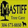 Mastiff Lawn & Tree Care gallery