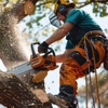 Jireh Tree Care gallery