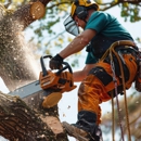 Jireh Tree Care - Tree Service