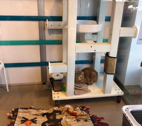 Adopt & Shop - Culver City, CA