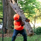 Acorn Tree Care