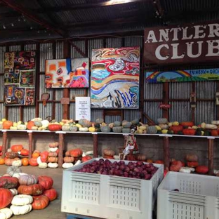 Rainbow Orchards - Camino, CA