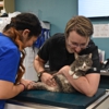 CityVet | Southtown gallery