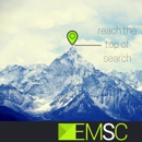 EM Search Consulting - Marketing Programs & Services