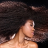Isha's African Hair Braiding & Weaving Salon gallery