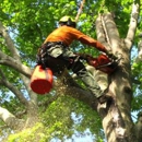 Highpoint Tree Care - Tree Service