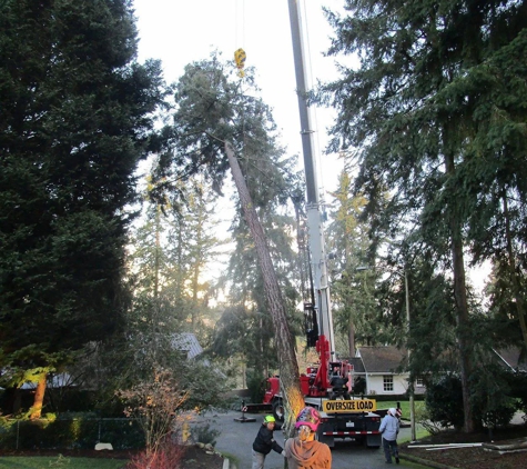 P.I.N.K. Chainsaw Tree Service