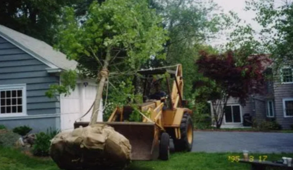 Frank Pappa & Sons Landscaping Service Inc - Hartford, CT