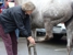 Pilchuck Veterinary Hospital - Small Animal - Veterinarians
