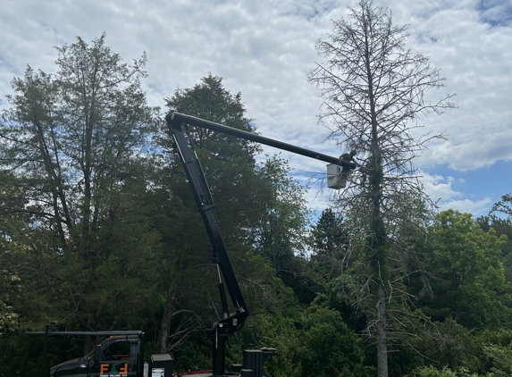 Ferro Felling Tree service LLC. - Amherst, VA