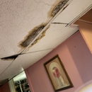 Mold Act of Jersey City - Mold Remediation