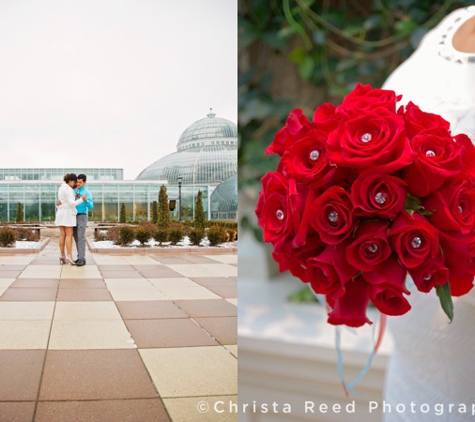 Christa Reed Photography - Belle Plaine, MN