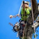 Arbor Max Tree Service