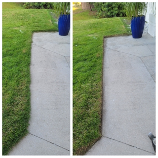 Spicy Cuts Lawn Care - Cape Coral, FL. Spicy Cuts Lawn Care before and after