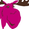 The Fuchsia Moose gallery