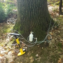 Friendly Tree Service Inc - Arborists