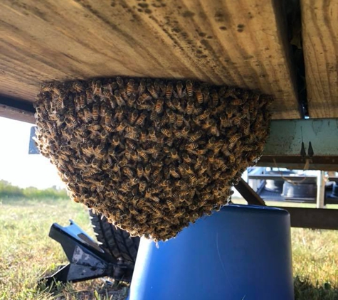 Jackass Honey Farms - Liberty Hill, TX