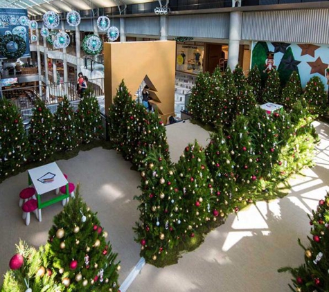 Santa's Shaped Christmas Trees Pty Ltd - Gundaroo, NSW