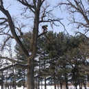 Worm's Tree Care, Inc. - Arborists