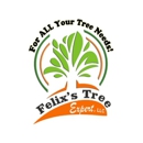 Felix's Tree Expert - Tree Service