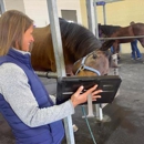 Greenville Equine Veterinary Services - Veterinarians