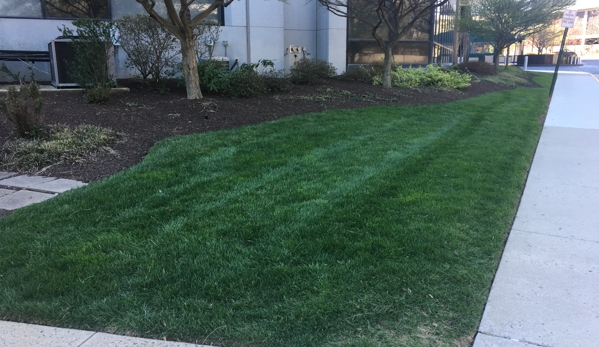 AA Green Landscaping - Manassas, VA