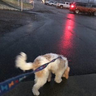 Amherst Boarding Kennel - East Amherst, NY