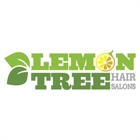 Lemon Tree Hair Salon Clifton Park