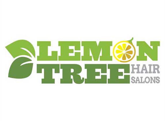 Lemon Tree Hair Salon Deer Park / N. Babylon - North Babylon, NY
