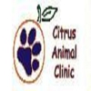 Citrus Animal Clinic gallery