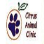 Citrus Animal Clinic