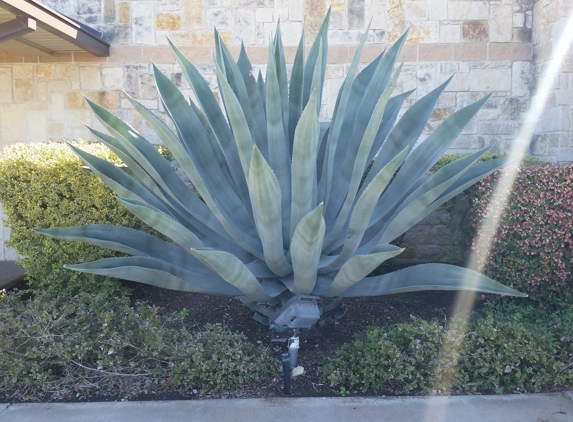 Liberty Lawn and Landscaping Inc. - New Braunfels, TX