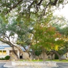 VCA Castle Hills Companion Animal Hospital gallery