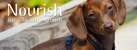Nourish Pet Care - Pet Stores